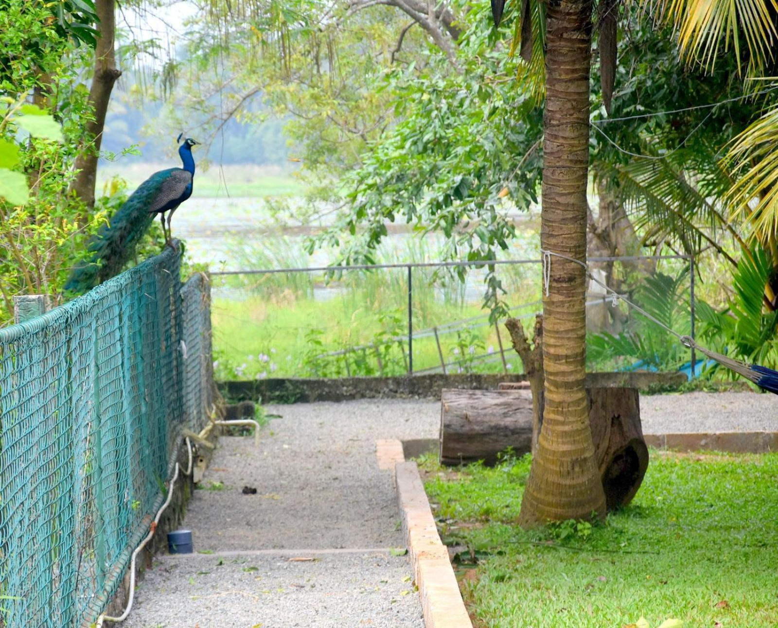 Ciel Star Anuradhapura Hotel Buitenkant foto